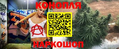 ALPHA PVP Заводоуковск
